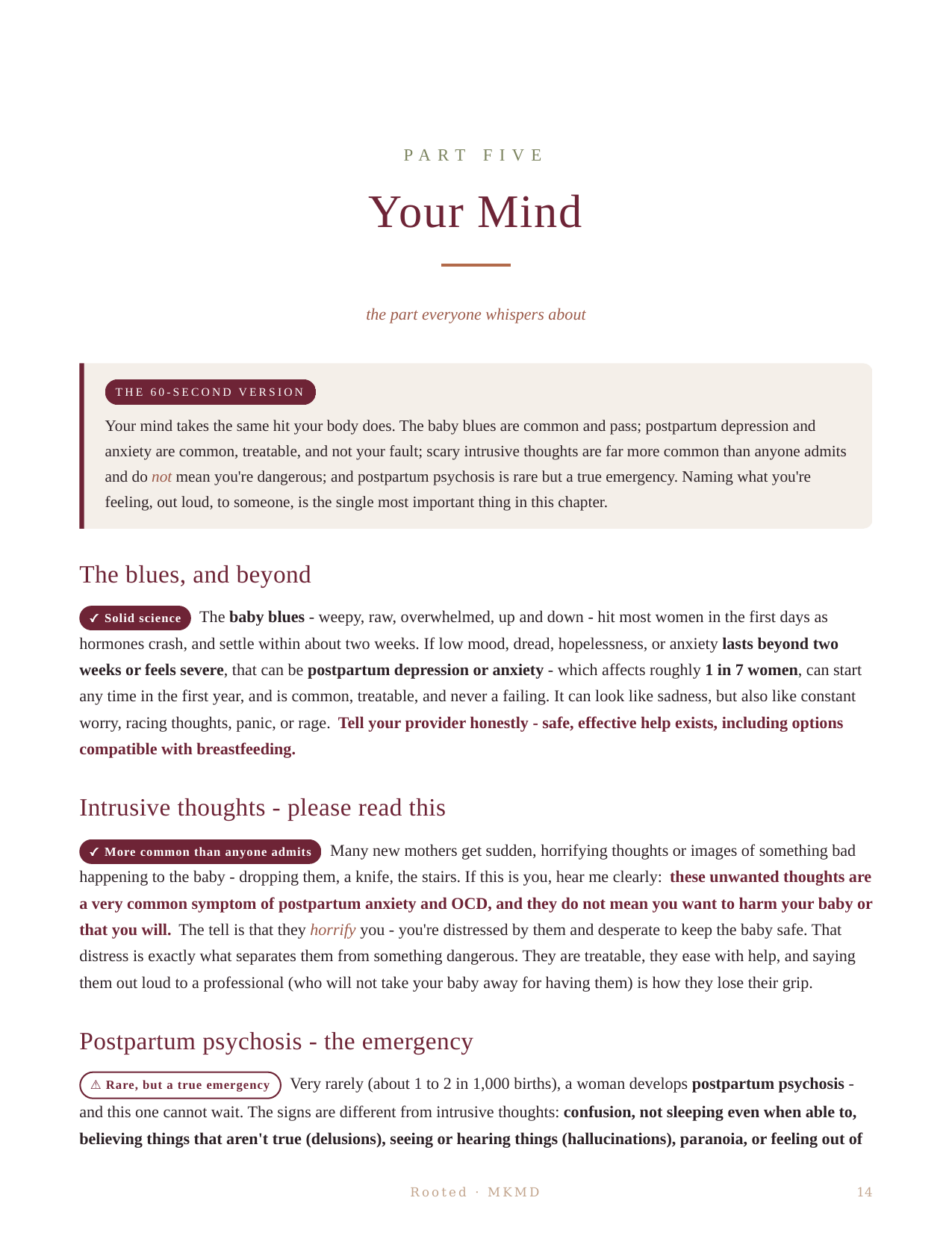 Rooted: A Fourth Trimester Guide